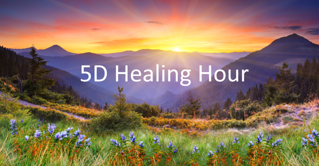 Helend en bemoedigend bezoek aan Sirius en de dolfijnen